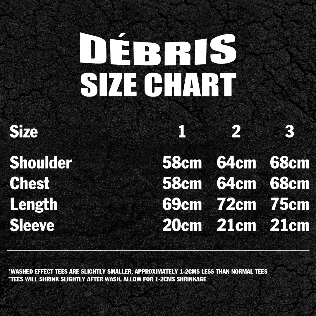 DÉBRIS APPAREL – Porsche 953 K3 Jägermeister Box Tee | UNISEX Heavy Weight Cotton